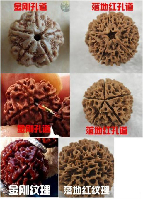 “太阳成tyc7111cc”社会意理学(一):后见之明偏差,我早就知道是这样(图1) 太阳成tyc7111cc